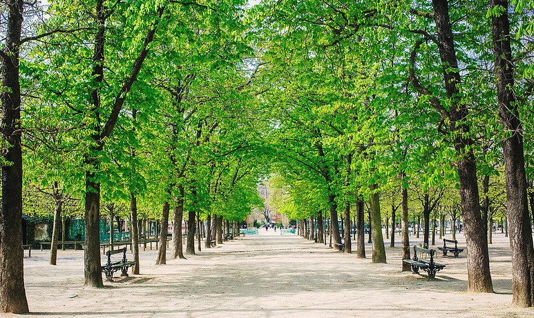 Luxembourg Garden, Paris - Photo credit: linhdevil on Visual Hunt CC BY
